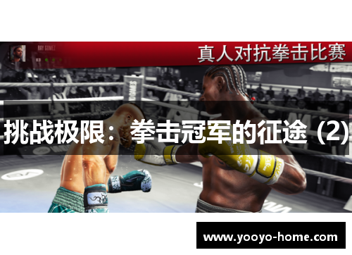 挑战极限：拳击冠军的征途 (2)