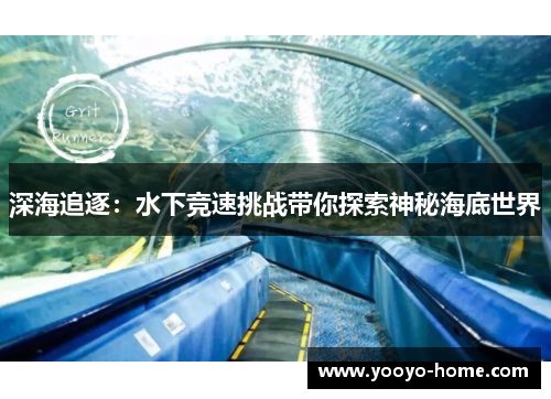 深海追逐：水下竞速挑战带你探索神秘海底世界