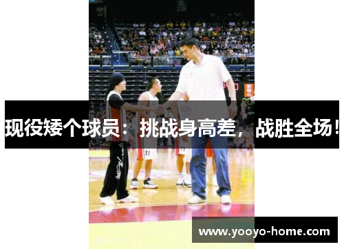 现役矮个球员：挑战身高差，战胜全场！