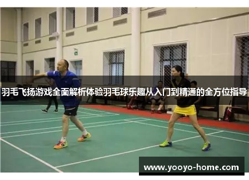 羽毛飞扬游戏全面解析体验羽毛球乐趣从入门到精通的全方位指导
