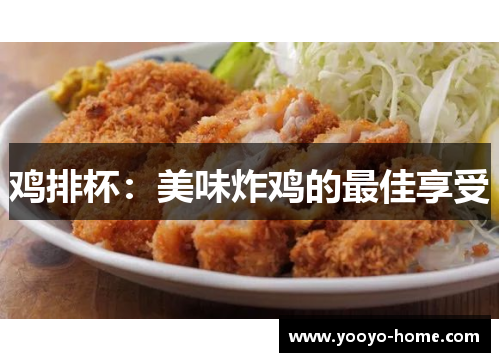 鸡排杯：美味炸鸡的最佳享受